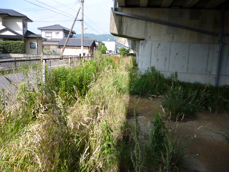 施工前：除草