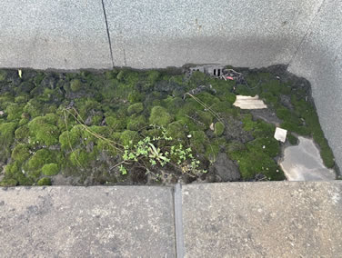 施工前：屋上排水ドレン清掃